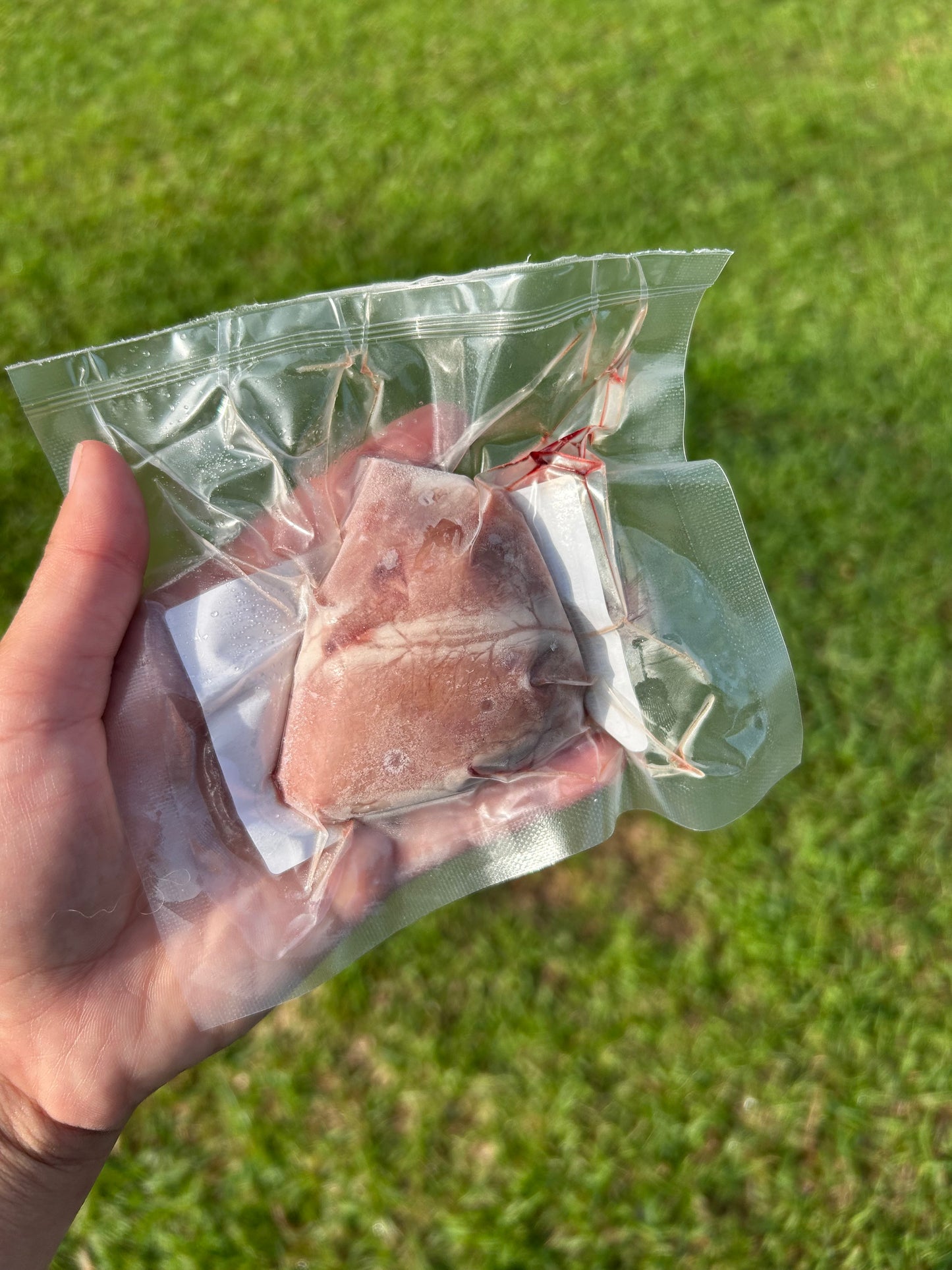 Lamb Heart
