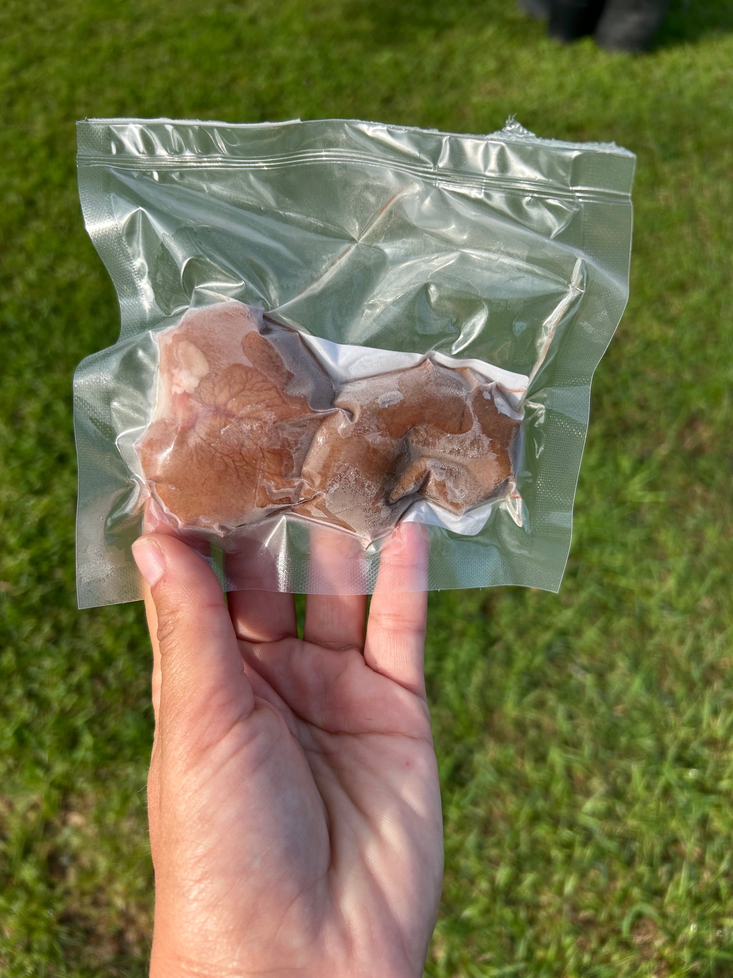 Lamb Kidney