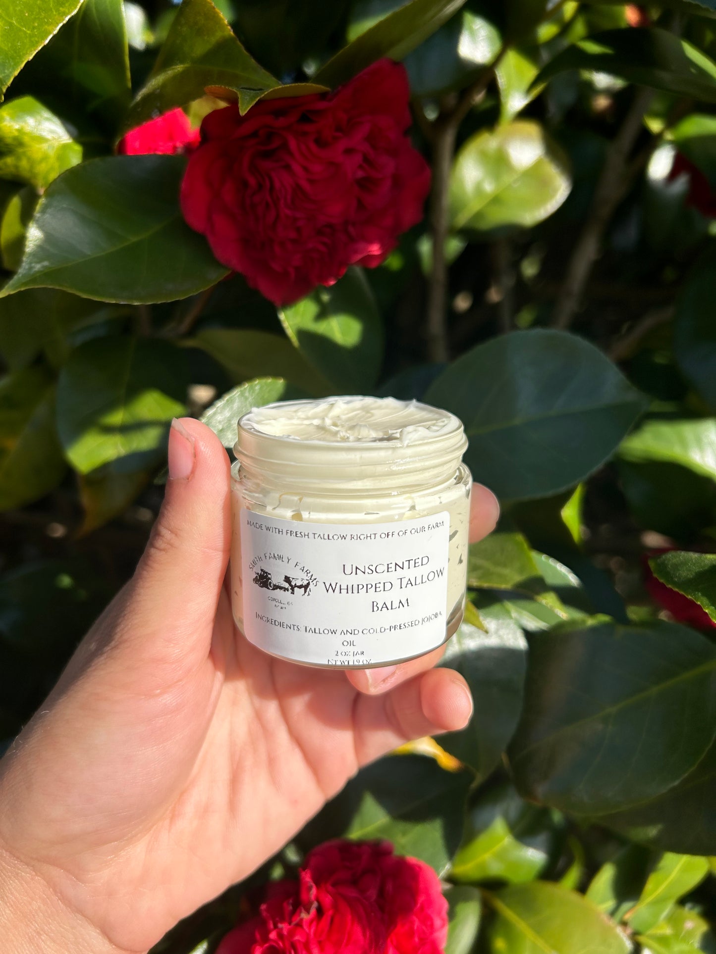 Whipped Tallow Balm