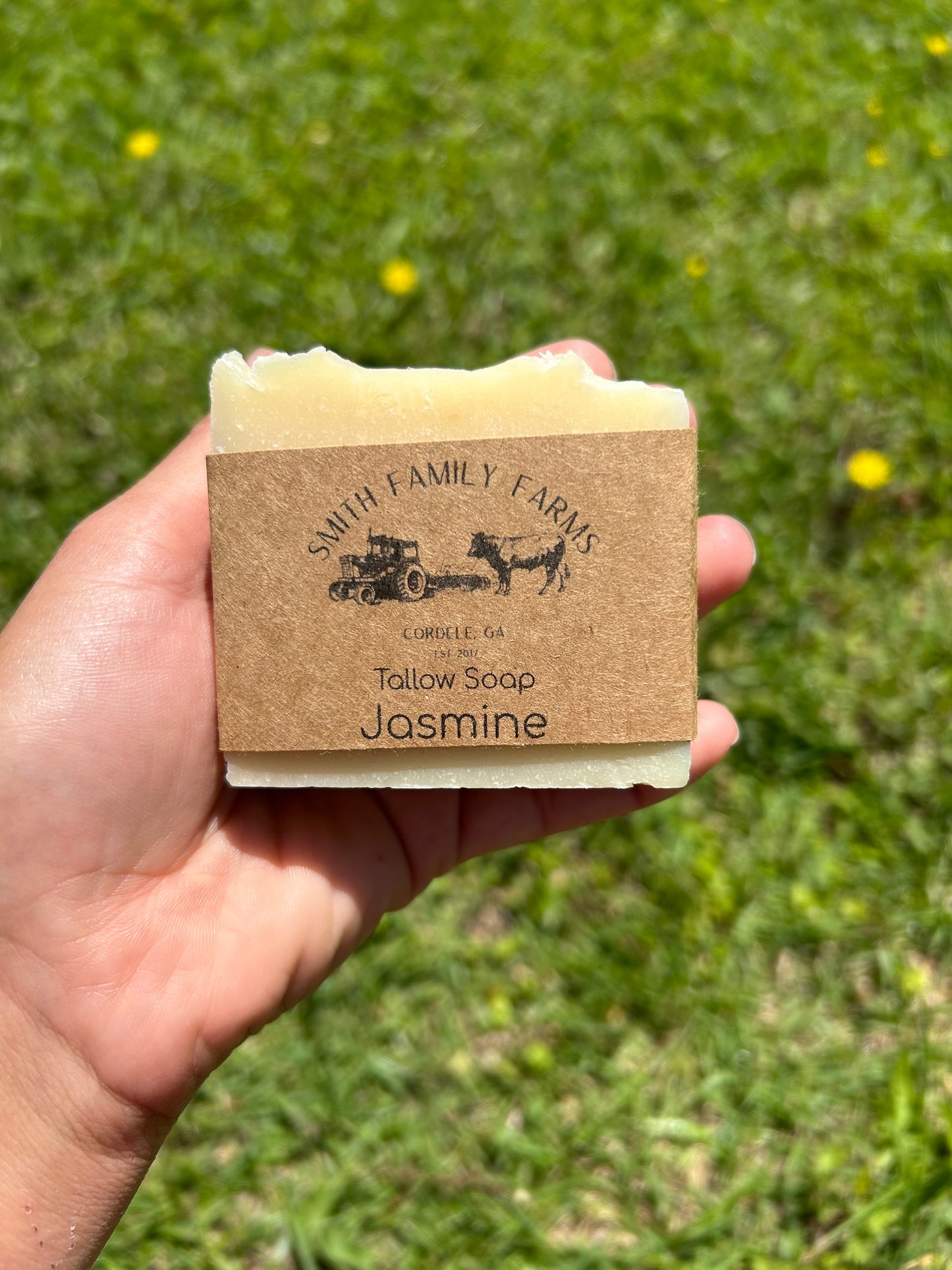 Tallow Soap