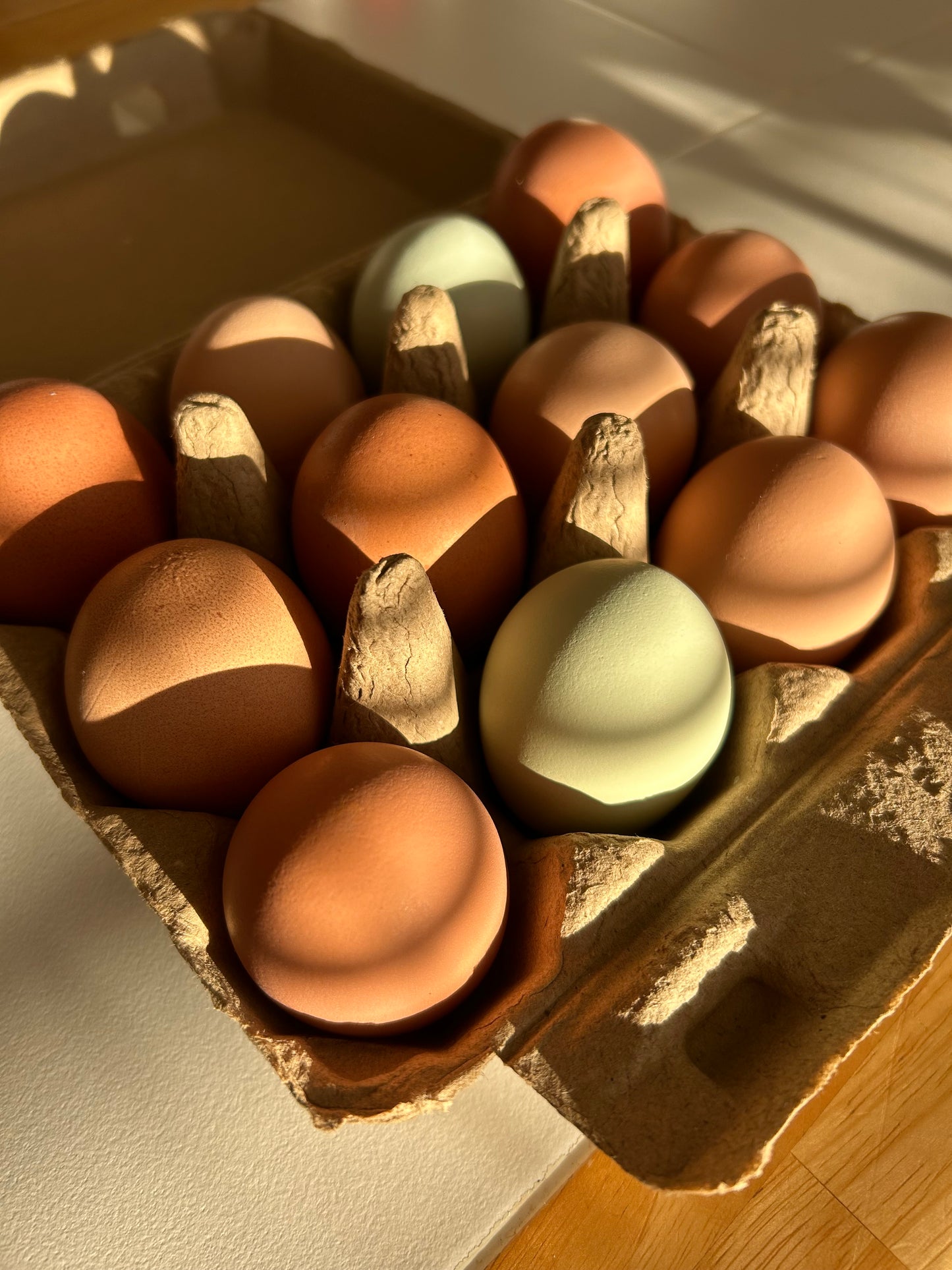 Farm fresh chicken eggs