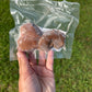 Lamb Kidney