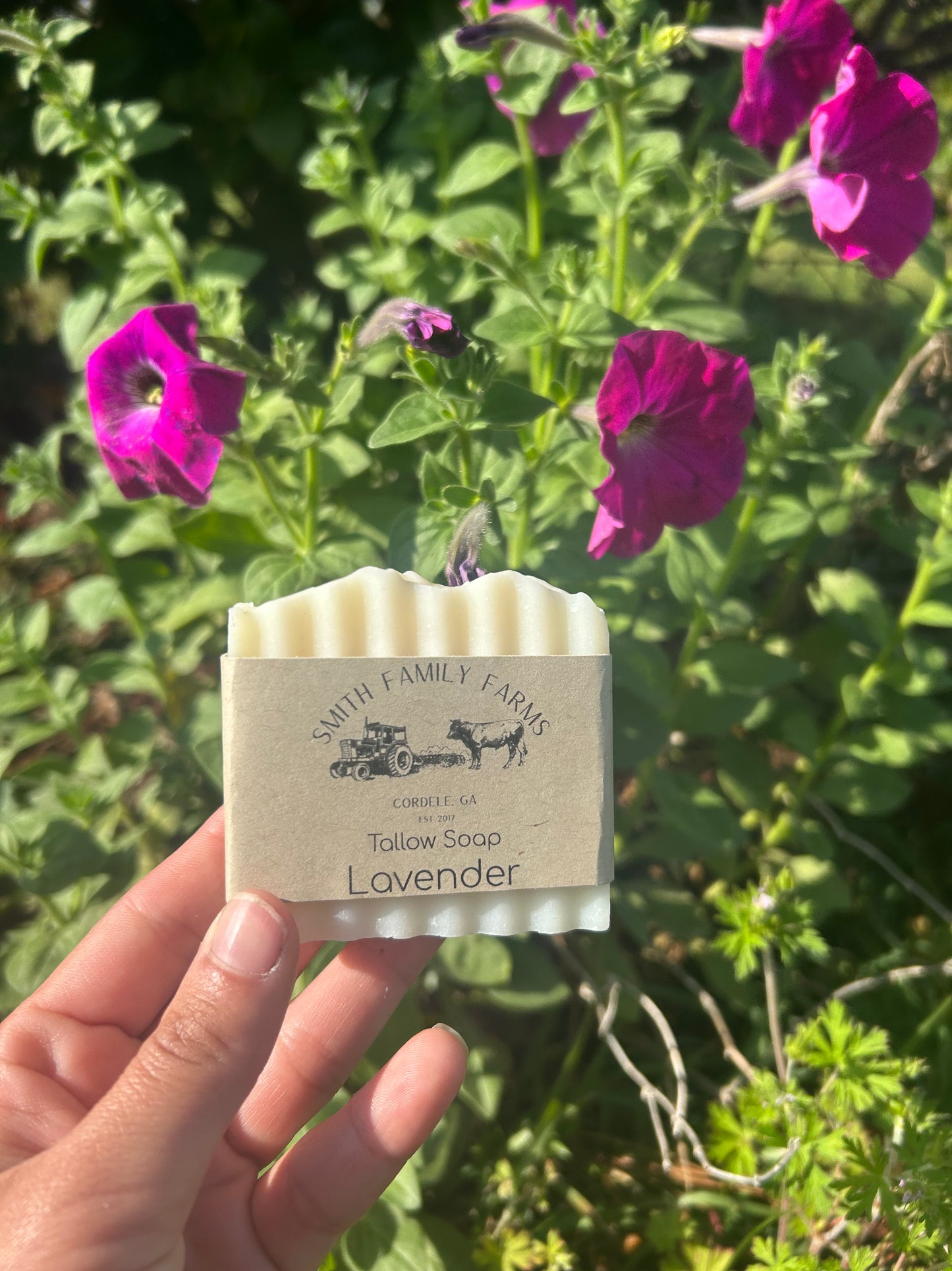 All Natural Tallow Soap