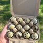 Quail Eggs
