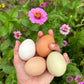 Farm fresh chicken eggs