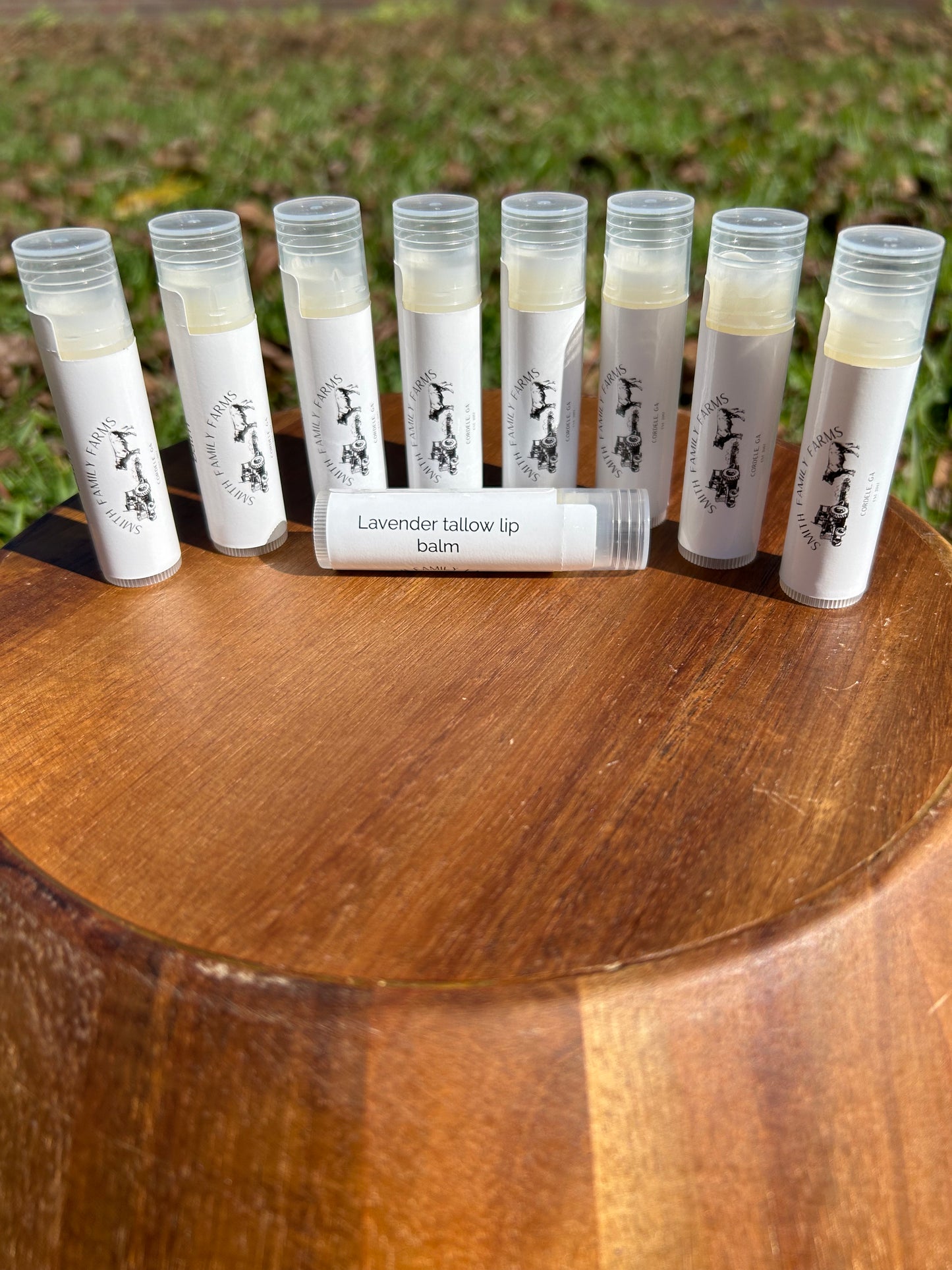 Tallow Lip Balm