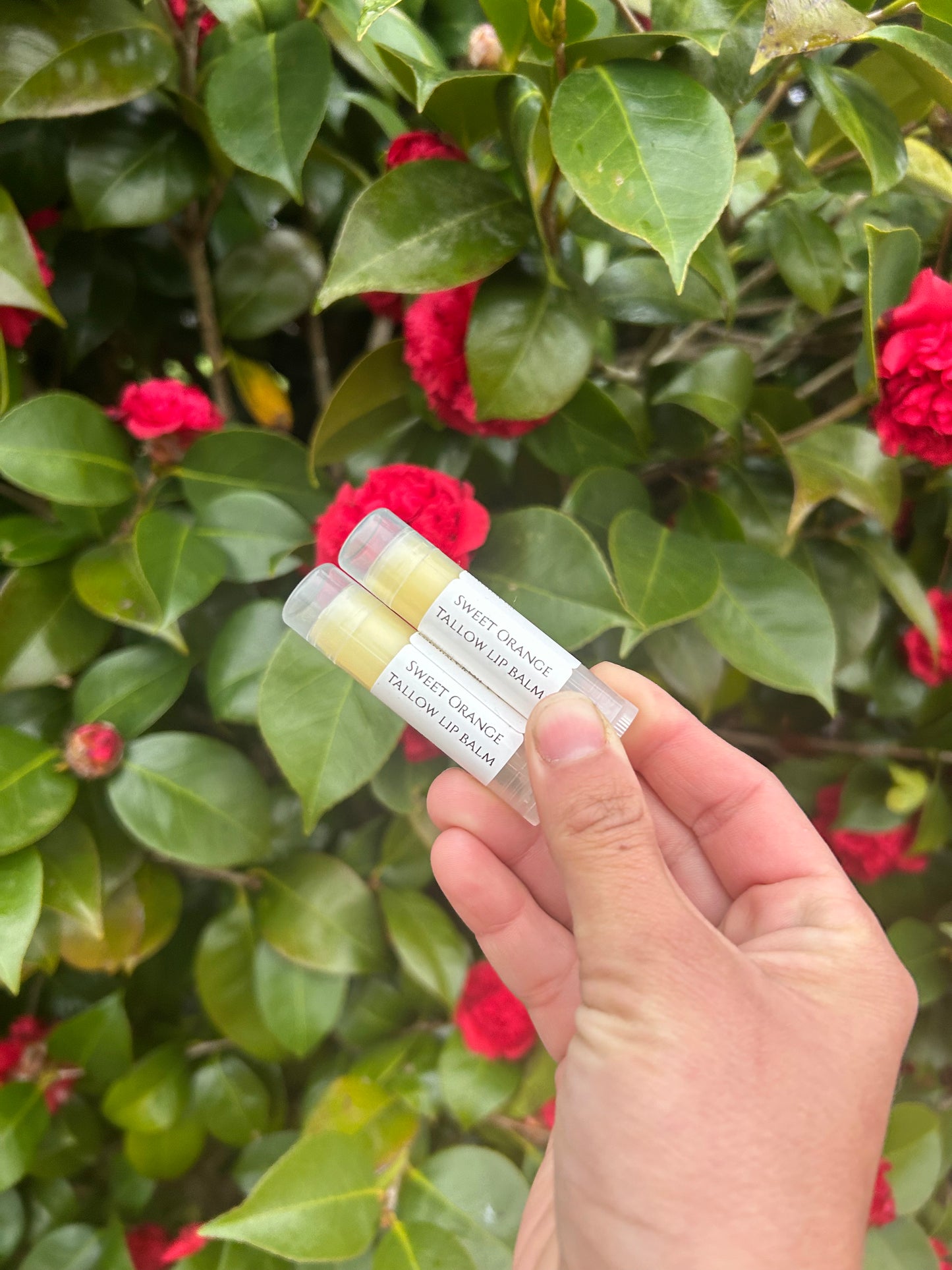 Tallow Lip Balm